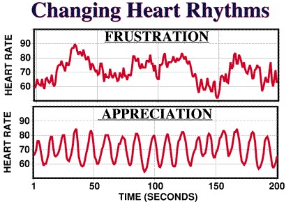 What is a healthy heart rate?